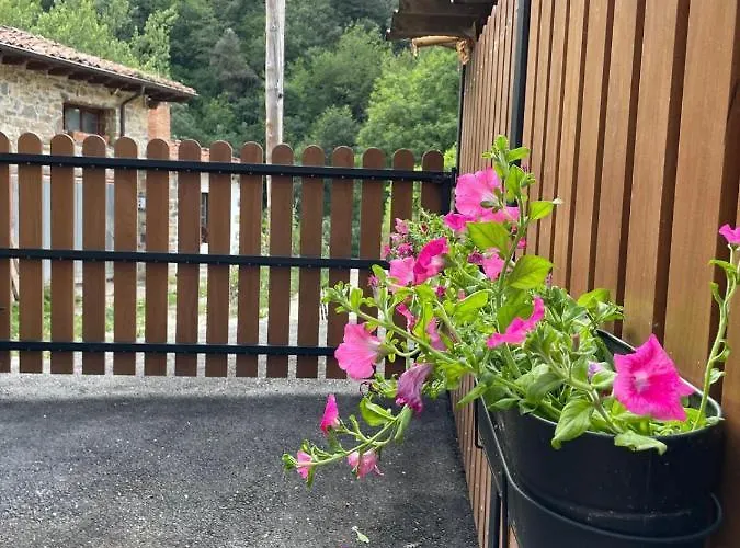 La Casa De Sabina * Lon